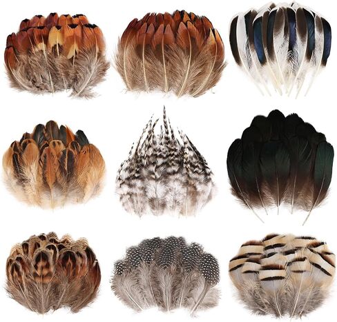 Black Craft Feathers Bulk - 180pcs 6 Style Mixed Natural Feathers for Wedding Home Party, Dream Catcher Supplies and DIY Crafts (Black) in Saudi Arabia