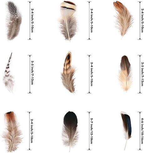 Black Craft Feathers Bulk - 180pcs 6 Style Mixed Natural Feathers for Wedding Home Party, Dream Catcher Supplies and DIY Crafts (Black) in Saudi Arabia