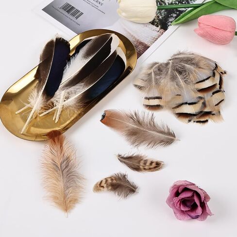 Black Craft Feathers Bulk - 180pcs 6 Style Mixed Natural Feathers for Wedding Home Party, Dream Catcher Supplies and DIY Crafts (Black) in Saudi Arabia