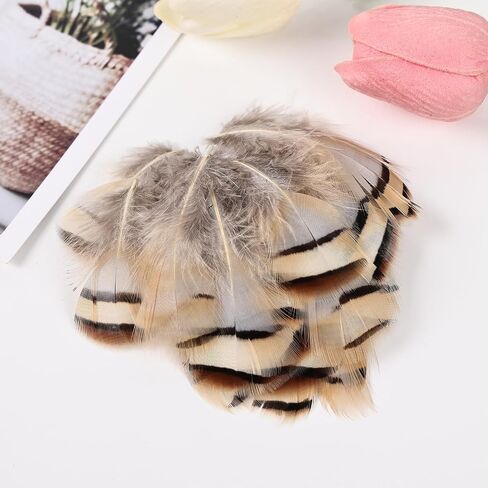 Black Craft Feathers Bulk - 180pcs 6 Style Mixed Natural Feathers for Wedding Home Party, Dream Catcher Supplies and DIY Crafts (Black) in Saudi Arabia