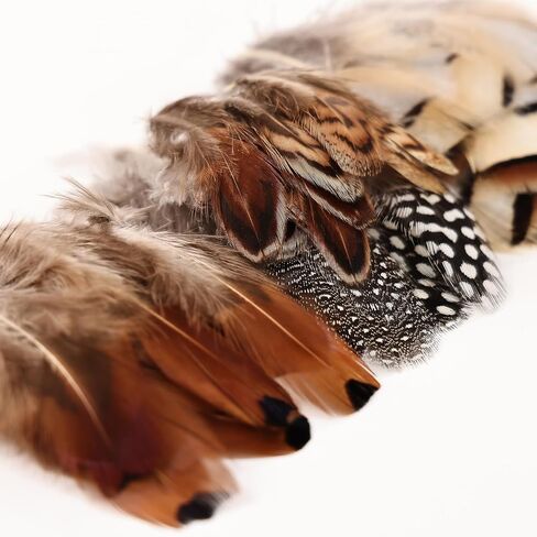 Black Craft Feathers Bulk - 180pcs 6 Style Mixed Natural Feathers for Wedding Home Party, Dream Catcher Supplies and DIY Crafts (Black) in Saudi Arabia