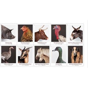 Heritage Breeds, 1 Sheet of 20 Forever Postage Stamps, First Class Letter, Anniversary, Wedding, Celebration