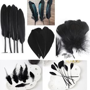 Black Craft Feathers Bulk - 180pcs 6 Style Mixed Natural Feathers for Wedding Home Party, Dream Catcher Supplies and DIY Crafts (Black)