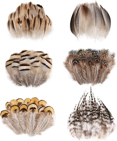 Black Craft Feathers Bulk - 180pcs 6 Style Mixed Natural Feathers for Wedding Home Party, Dream Catcher Supplies and DIY Crafts (Black) in Saudi Arabia