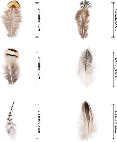 Black Craft Feathers Bulk - 180pcs 6 Style Mixed Natural Feathers for Wedding Home Party, Dream Catcher Supplies and DIY Crafts (Black) in Saudi Arabia