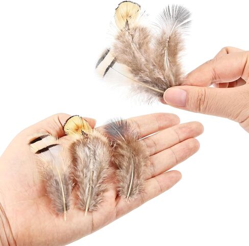 Black Craft Feathers Bulk - 180pcs 6 Style Mixed Natural Feathers for Wedding Home Party, Dream Catcher Supplies and DIY Crafts (Black) in Saudi Arabia