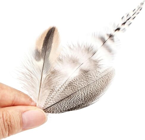 Black Craft Feathers Bulk - 180pcs 6 Style Mixed Natural Feathers for Wedding Home Party, Dream Catcher Supplies and DIY Crafts (Black) in Saudi Arabia