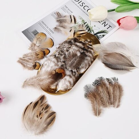 Black Craft Feathers Bulk - 180pcs 6 Style Mixed Natural Feathers for Wedding Home Party, Dream Catcher Supplies and DIY Crafts (Black) in Saudi Arabia
