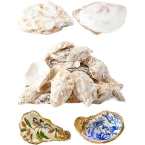 30Pcs Oyster Shells for Crafts， 4"-5" Large Oyster Shell for Crafts，Oyster Shells for Christmas 、Painting、 Beach Themes、 Wedding, Home Shells for Decoration and Sea Shells for Crafting