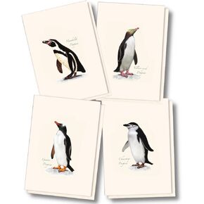 Earth Sky + Water - Penguin Assortment Notecard Set - 8 Blank Cards with Envelopes (2 each of 4 styles)