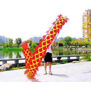 16.4 FT (5 Meters) Golden Red Dragon Poi with 3D Dragon Head & Swing Rope Combo for Kids, Chinese Wulong Flowy Dragon Ribbon Streamer Outdoor Fitness Golden Dragon Stage Prop Set