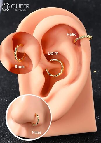 مجوهرات ثقب الحلزون من الفولاذ الجراحي 16G من OUFER، 316 لتر، أقراط Daith، أقراط حلزونية للنساء، مجوهرات ثقب الحاجز على شكل محارة in Kuwait