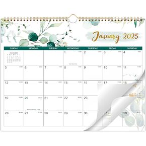 2025-2027 Wall Calendar - Jul 2025 - Jun 2027, Calendar 2025-2027, 14.8" x 11.4", 2025 Calendar with Large Blocks Space, Twin-Wire Binding, Hanging Hook, Perfect for School & Home