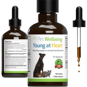 Pet Wellbeing Young at Heart for Dogs & Cats - Vet-Formulated - Supports Cardiovascular System | Heart & Circulatory Health - Natural Herbal Supplement 4 oz (118 ml)