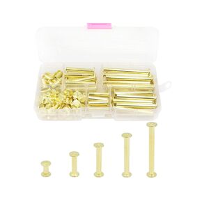 LBY 100pcs Phillips Chicago Screws, M5 x 10/20/30/40/50mm Binding Screw Posts, Book Screws, Binding Barrels and Screws Assortment Kit for Leather Saddles, Purses, Belt Repair, 304 Stainless Steel