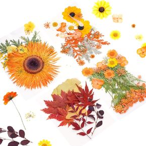 Autumn Dried Pressed Flowers Fall Dried Flowers for Resin Molds Real Natural Flowers Leave for DIY Crafts, Soap Making, Nails Decor, Candle
