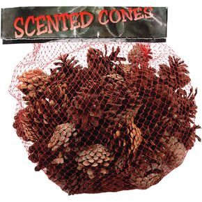 Winter Woods Cinnamon Scented Pine Cones Small Mix 1 Lb/Pkg-Natural