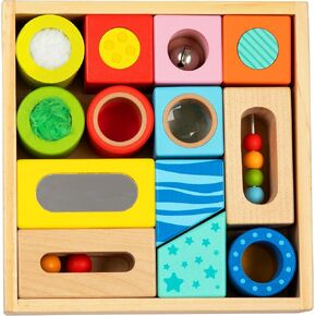 Brilliant Baby® Sensory Fun Blocks | Montessori Toy | Toddler Learning | Educational Wooden Baby Toy with Sensory Touch and Feel for Early Childhood Development | Interactive Toy for Toddler and Baby