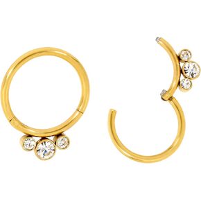 365 Sleepers 316L Surgical Steel 8mm 10mm 16G Gem Hinged Hoop Segment Nose Ring Helix Tragus Septum Unisex Earring Body Piercing Jewelry