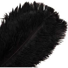 10Pcs Bulk Natural Colorful Ostrich Feathers,12-14 inch (30-35cm) Beautiful Long Feather for Crafts,Wedding Centerpieces Party Home Decoration,Dress and Christmas DIY (Colorful, 12-14in)