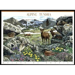 Alpine Tundra (Nature of America): Full Sheet of 10 x 41-Cent Postage Stamps, USA 2007, Scott 4198