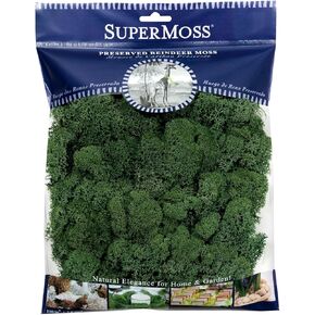 SuperMoss (21729) Reindeer Moss Preserved - Soft, Lush Floral Décor for Terrariums, Fairy Gardens & Wedding Décor, 120 Cubic inches (appx. 4oz), Forest