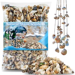 Tiny Seashells for Crafts - Sea Shells Mixed Ocean Beach Seashells Small Mixed Shells Bulk for Home Decorations Wedding Decor Beach Theme Party Vase Filler (0.2-0.8 in, 314 Grams)