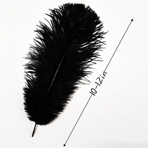 10Pcs Bulk Natural Colorful Ostrich Feathers,12-14 inch (30-35cm) Beautiful Long Feather for Crafts,Wedding Centerpieces Party Home Decoration,Dress and Christmas DIY (Colorful, 12-14in) in Saudi Arabia