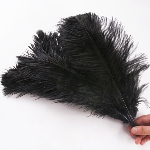 10Pcs Bulk Natural Colorful Ostrich Feathers,12-14 inch (30-35cm) Beautiful Long Feather for Crafts,Wedding Centerpieces Party Home Decoration,Dress and Christmas DIY (Colorful, 12-14in) in Saudi Arabia