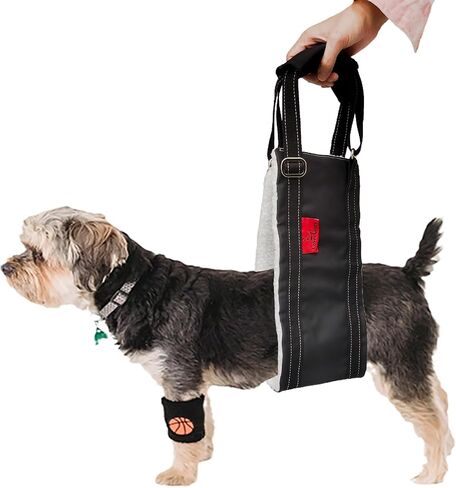 Leather Dog Lift Harness for Small Dogs, Doggie Walking Sling, Dog Sling Belly Support Strap, Pet Assist Harness for Senior,Injured,Disabled Dogs After ACL Surgery S in Kuwait