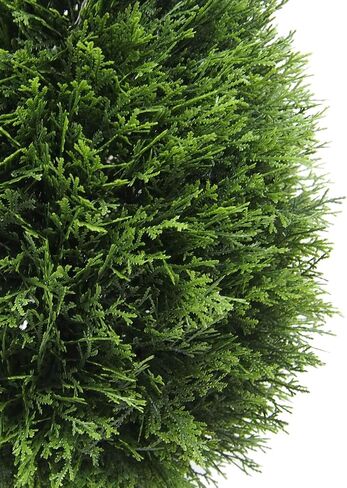 Vickerman 24" Artificial Potted Cedar Teardrop Shaped Bush - Realistic Faux Cedar Topiary Decoration - for Indoor/Outdoor Use - Reliable and Durable in Saudi Arabia