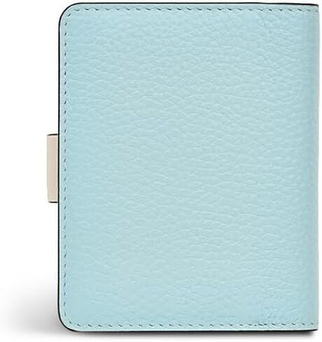 RADLEY London Islington Way Colourblock حامل بطاقات ائتمان صغير الحجم للنساء، حافظة جلدية رفيعة لتنظيم البطاقات، أزرق in Saudi Arabia