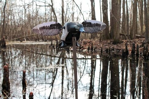MOJO Elite Series Mini Mallard Spinning Wing Flexible Duck Decoy for Duck Hunting with Smoother, Quieter, Faster, and More User Friendly Decoy, Includes A Solid Component Housing, Hen in Saudi Arabia