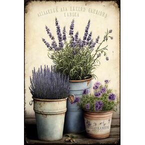 STOJAN Diamond Painting Kits Vintage Lavender, Diamond Painting 5D Full Diamond Digital Painting Adults Children Fun DIY Art Crafts, Suitable for Wall Decor Flower Room Decor Or Gifts-8X12Inch