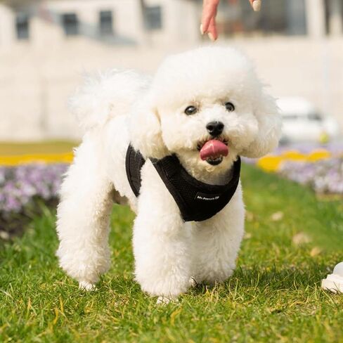 Mr. Peanut's PupTrek Small Dog/Cat Soft Mesh Step in Harness Vest (Extra Small, Red) in Kuwait