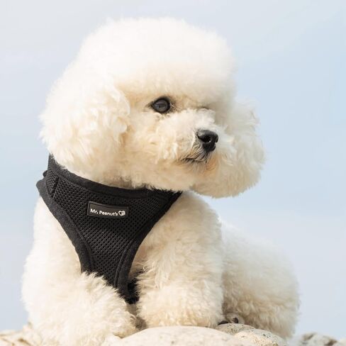Mr. Peanut's PupTrek Small Dog/Cat Soft Mesh Step in Harness Vest (Extra Small, Red) in Kuwait