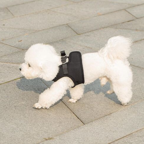 Mr. Peanut's PupTrek Small Dog/Cat Soft Mesh Step in Harness Vest (Extra Small, Red) in Kuwait