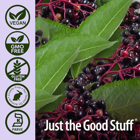 Nature's Answer Sambucus Extract Immune Support, 4-Fluid Ounces | Immune System Booster | Flue Season Support | Immune Relief | Packed with Antioxidants in Saudi Arabia