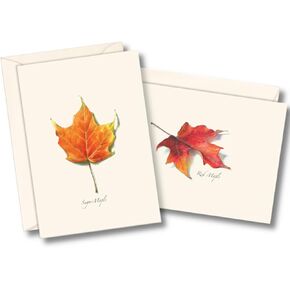 Earth Sky + Water - Maple Leaf Assortment II Notecard Set - 8 Blank Cards with Envelopes (4 each of 2 styles)