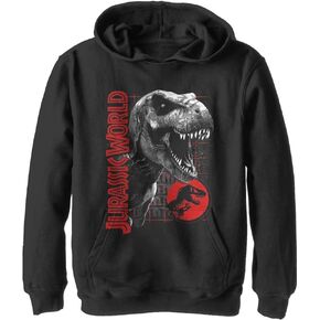 Jurassic Park Kids' Jurassic World Hd Rez Youth Pullover Hoodie