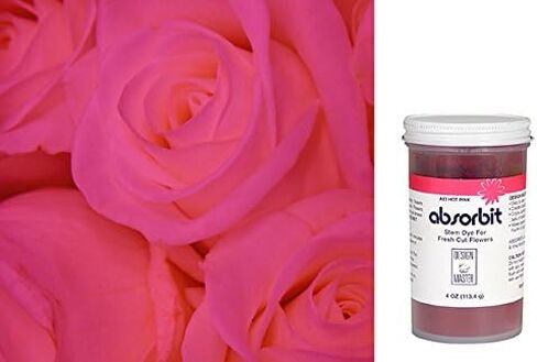 Design Master Absorbit Stem Dye for Fresh Cut Flowers Matte Finish Systemic (Perfect Pink) in Saudi Arabia