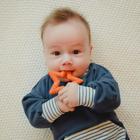 TalkTools Sensory Teeny Teether Star - Alternative to Thumb Sucking and Pacifiers, Enhances Oral Motor Awareness, Perfect for Children with Sensory Needs, Oral Development Aids (Sage) in Saudi Arabia