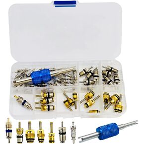 49PCS A/C R12 R134a Car Air Conditioning Valve Core Kit, Refrigeration HVAC Valve Cores Repair Kit Double Head Dual Dismantling Installer Tool,A/C Valve Core Kit & AC Removal | Install Tool