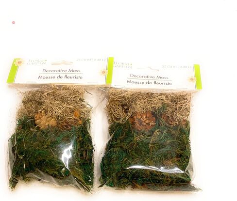 Floral Garden Reindeer Moss 24 CU IN (0.39 L) in Kuwait