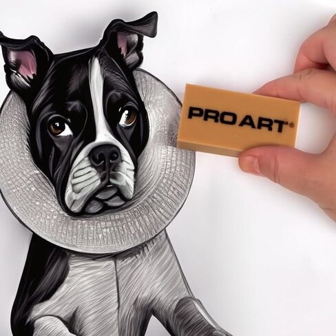 ممحاة لثة آرت من برو آرت، طبيعية 12 قطعة in Kuwait