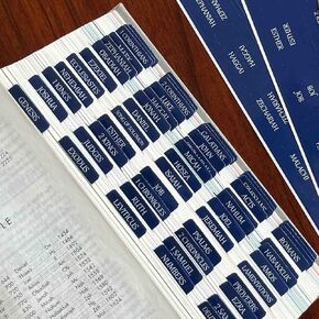 Laminated Bible Tabs, Reposition Large Print Stickers, Easy to Read and Apply Bible Tabs for Women and Man (White Pink)