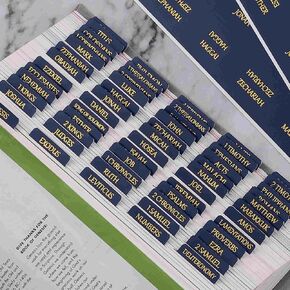 Laminated Bible Tabs, Reposition Large Print Stickers, Easy to Read and Apply Bible Tabs for Women and Man (White Pink) in Kuwait