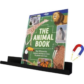 Magnetic Book Shelf for Whiteboard–17inch (43cm) Sleek Black Metal Iron Magnetic Shelf for Classroom That Holds up to 7.5lbs (3.5kg). Teacher Appreciation Gifts for Women