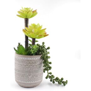 Artificial Succulents Realistic Textured Fake Succulents Faux Plants Aloe String of Pearls Ceramic Potted Greenery for Home Decor Table Centerpiece