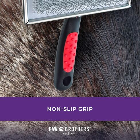 Ryan's Pet Supplies Paw Brothers Flat Slicker Brush for Dogs, Medium, 3.5 in x 1.625 in in Saudi Arabia
